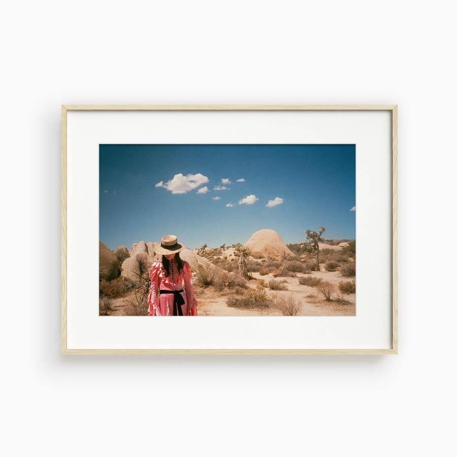 Untitled IV (Joshua Tree), Photograph  by  Untitled IV (Joshua Tree) Tappan