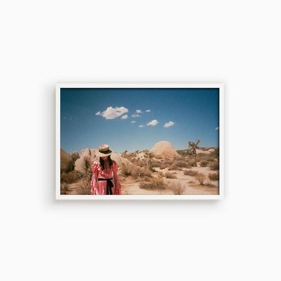 Untitled IV (Joshua Tree), Photograph  by  Untitled IV (Joshua Tree) Tappan