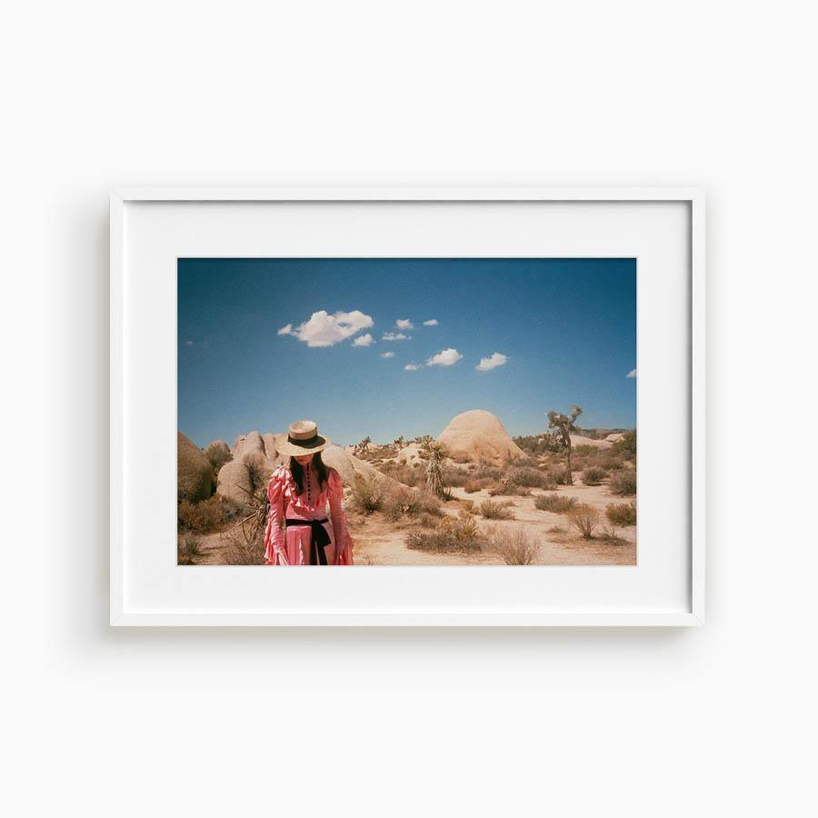 Untitled IV (Joshua Tree), Photograph  by  Untitled IV (Joshua Tree) Tappan
