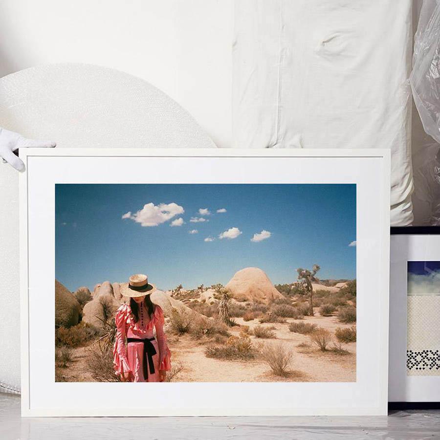 Untitled IV (Joshua Tree), Photograph  by  Untitled IV (Joshua Tree) Tappan