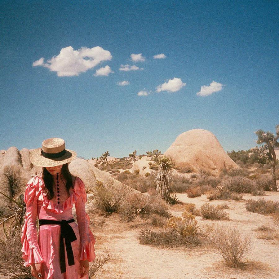 Untitled IV (Joshua Tree), Photograph  by  Untitled IV (Joshua Tree) Tappan