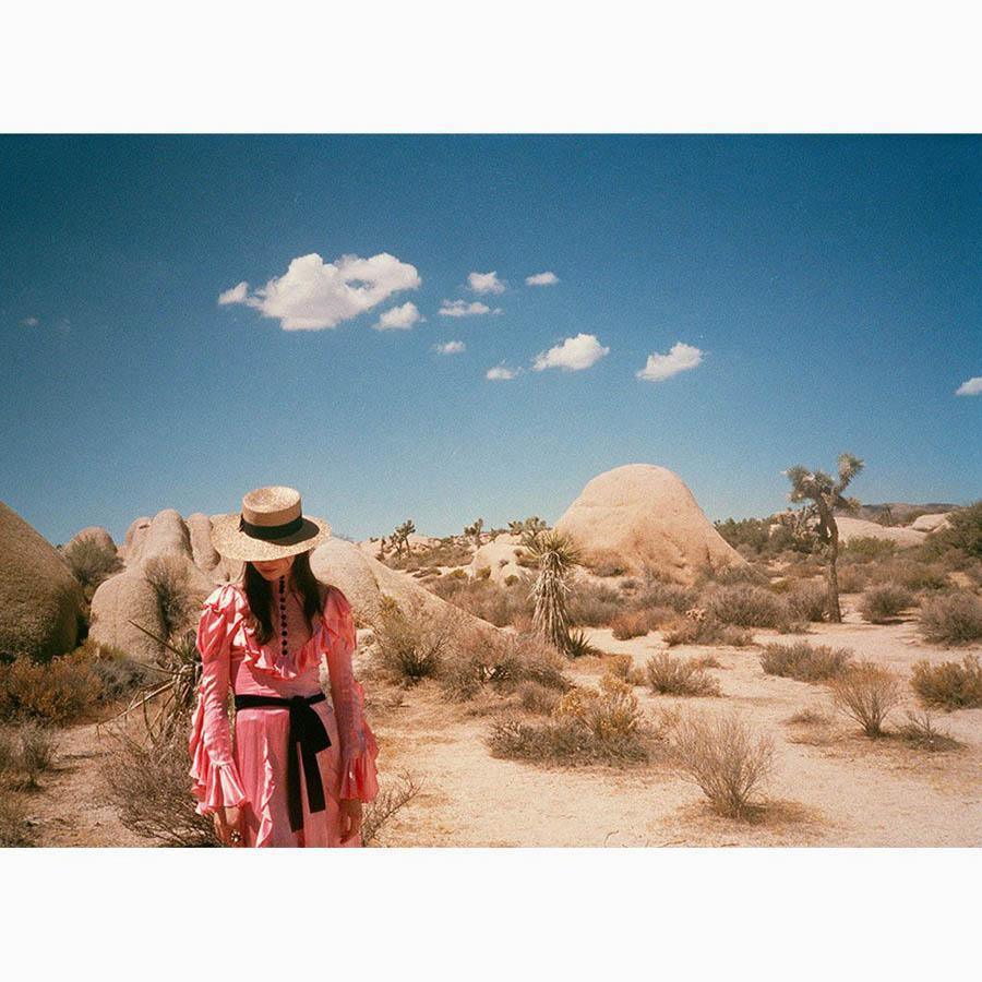 Untitled IV (Joshua Tree), Photograph  by  Untitled IV (Joshua Tree) Tappan
