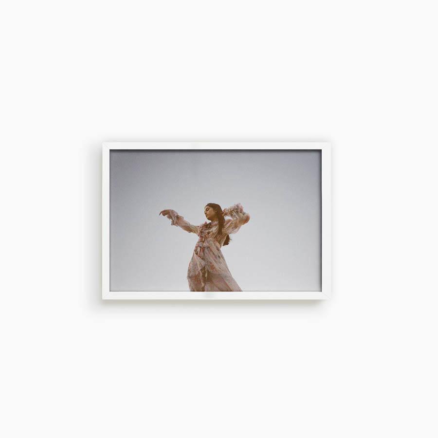 Untitled IX (Joshua Tree), Photograph  by  Untitled IX (Joshua Tree) Tappan