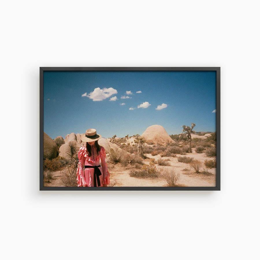 Untitled IV (Joshua Tree), Photograph  by  Untitled IV (Joshua Tree) Tappan