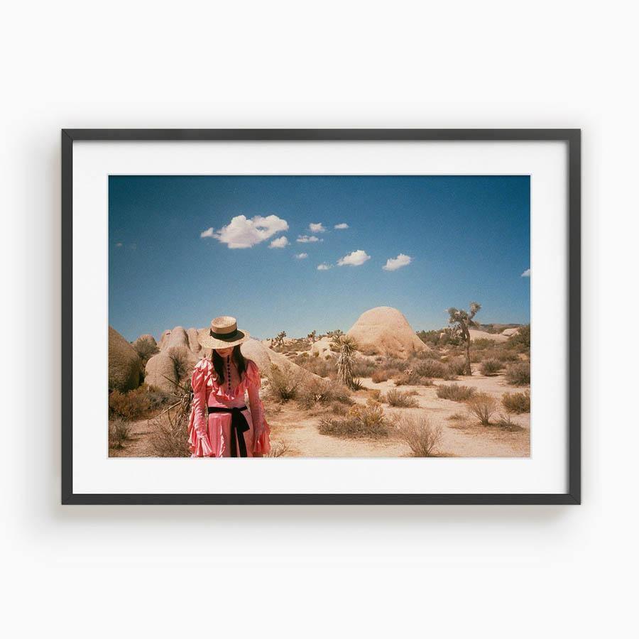 Untitled IV (Joshua Tree), Photograph  by  Untitled IV (Joshua Tree) Tappan
