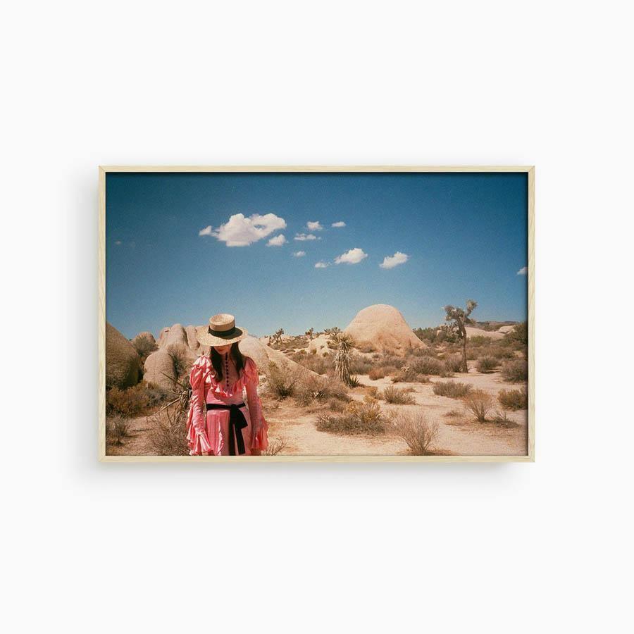 Untitled IV (Joshua Tree), Photograph  by  Untitled IV (Joshua Tree) Tappan