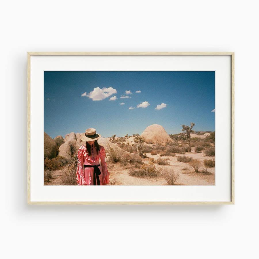 Untitled IV (Joshua Tree), Photograph  by  Untitled IV (Joshua Tree) Tappan