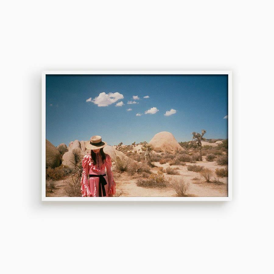 Untitled IV (Joshua Tree), Photograph  by  Untitled IV (Joshua Tree) Tappan