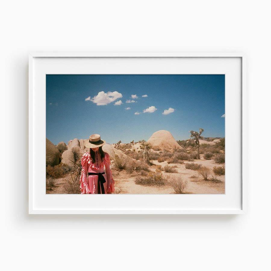 Untitled IV (Joshua Tree), Photograph  by  Untitled IV (Joshua Tree) Tappan