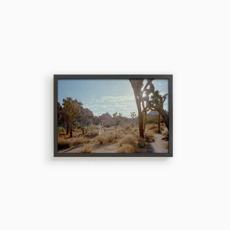 Untitled VIII (Joshua Tree), Photograph  by  Untitled VIII (Joshua Tree) Tappan