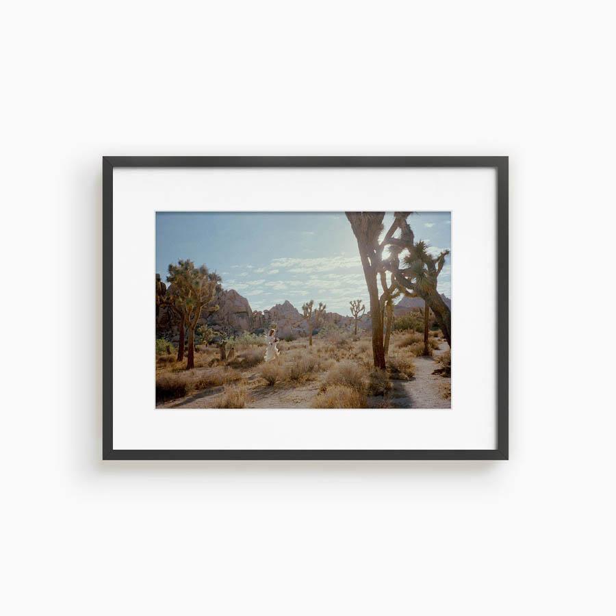 Untitled VIII (Joshua Tree), Photograph  by  Untitled VIII (Joshua Tree) Tappan