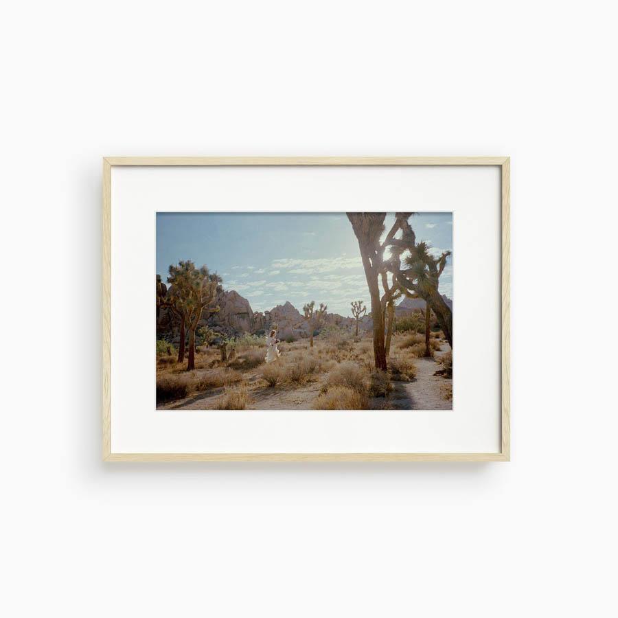 Untitled VIII (Joshua Tree), Photograph  by  Untitled VIII (Joshua Tree) Tappan