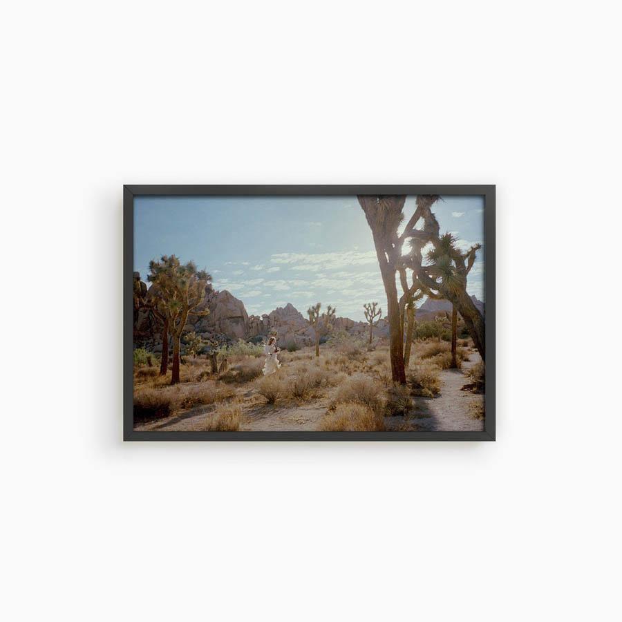 Untitled VIII (Joshua Tree), Photograph  by  Untitled VIII (Joshua Tree) Tappan