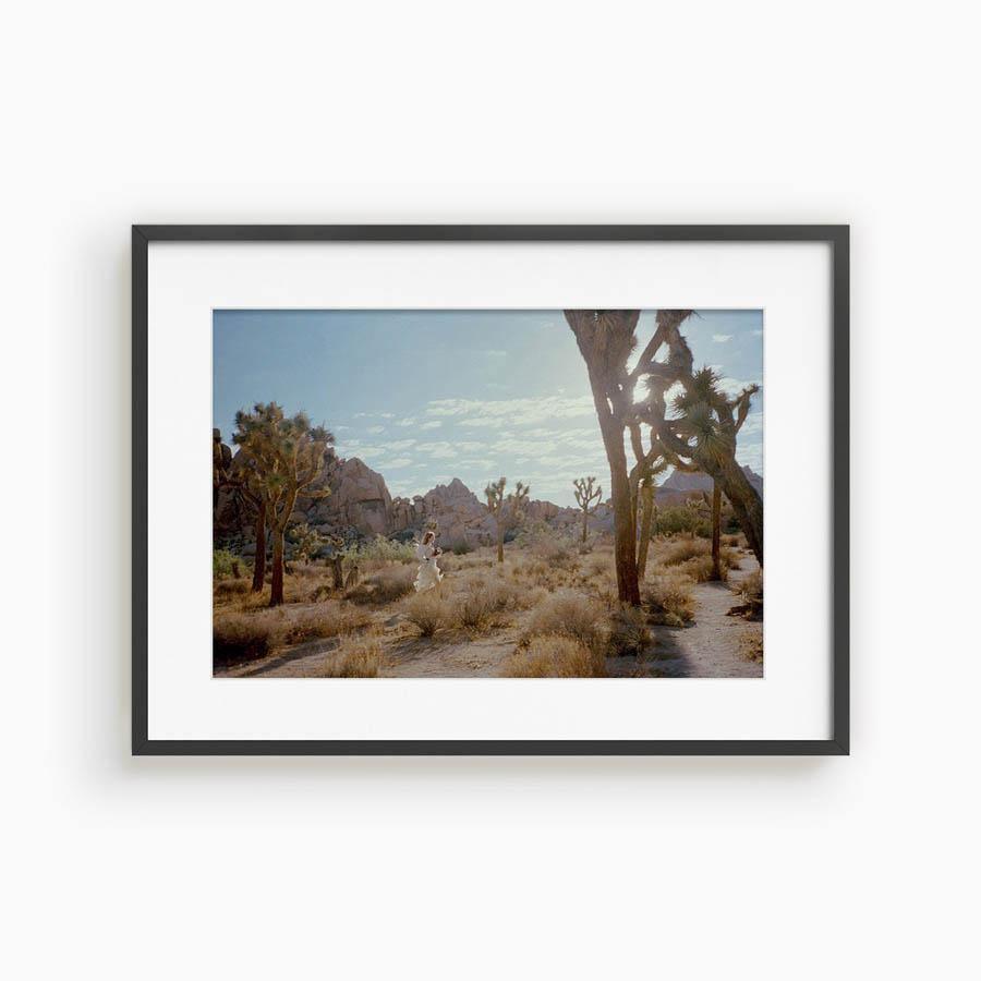 Untitled VIII (Joshua Tree), Photograph  by  Untitled VIII (Joshua Tree) Tappan