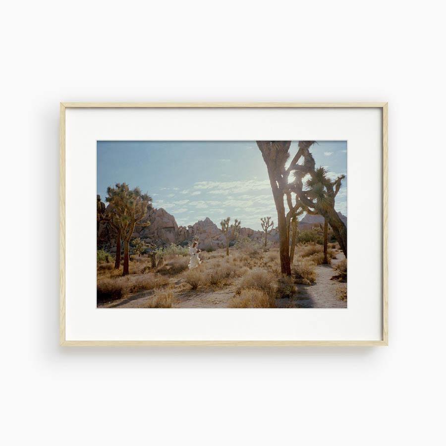 Untitled VIII (Joshua Tree), Photograph  by  Untitled VIII (Joshua Tree) Tappan