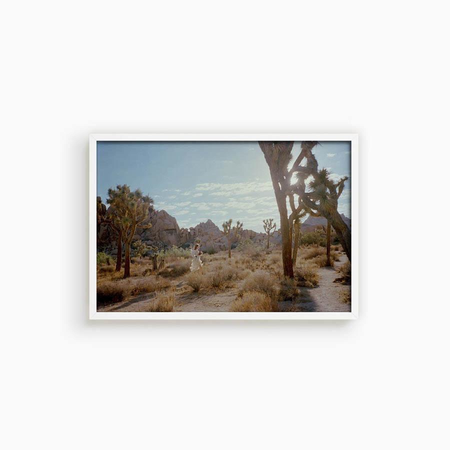 Untitled VIII (Joshua Tree), Photograph  by  Untitled VIII (Joshua Tree) Tappan