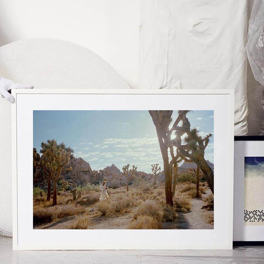 Untitled VIII (Joshua Tree), Photograph  by  Untitled VIII (Joshua Tree) Tappan