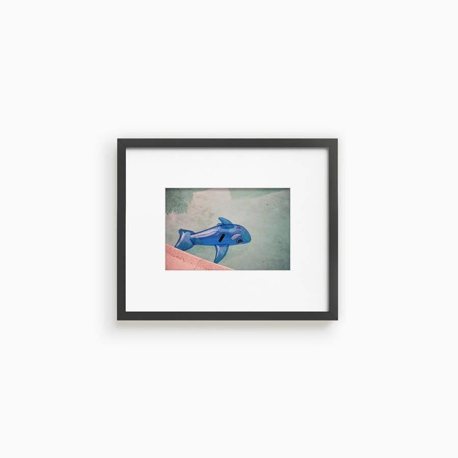 Whale in Pool, Photograph  by  Whale in Pool Tappan