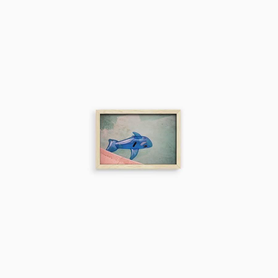 Whale in Pool, Photograph  by  Whale in Pool Tappan