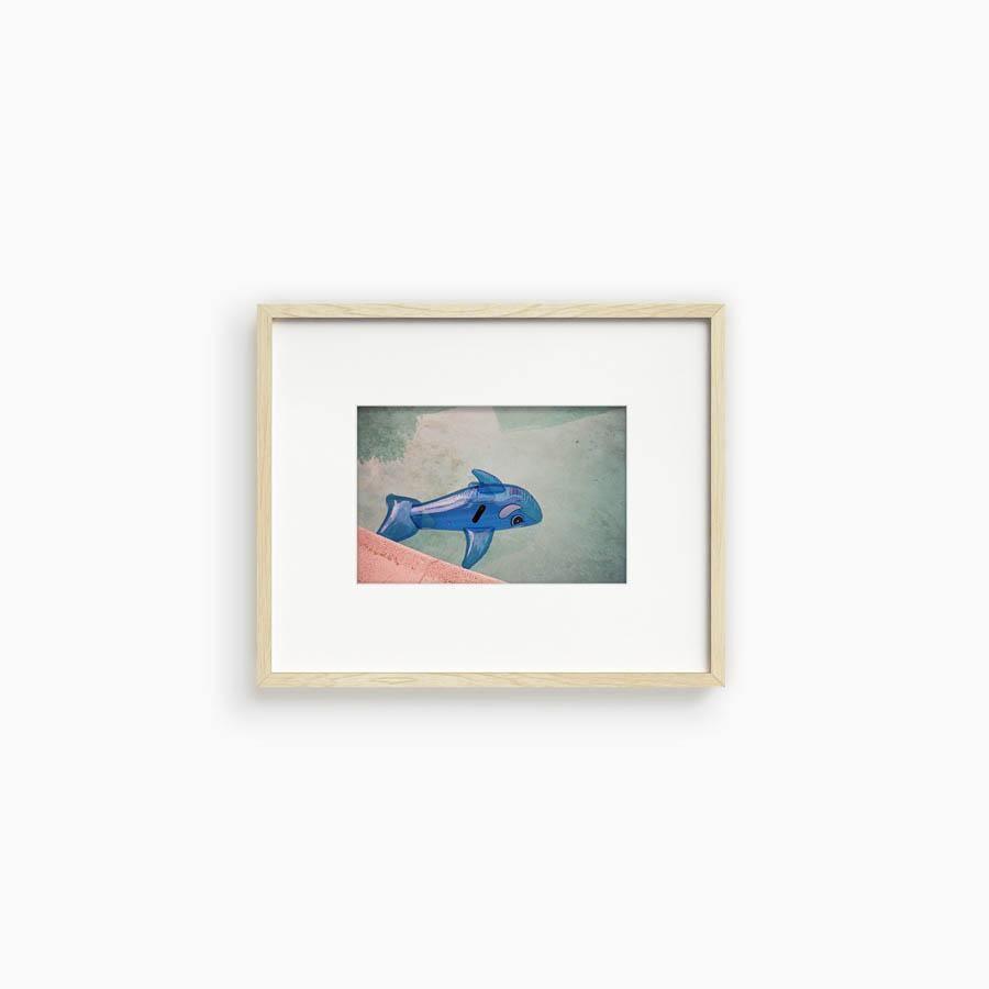 Whale in Pool, Photograph  by  Whale in Pool Tappan