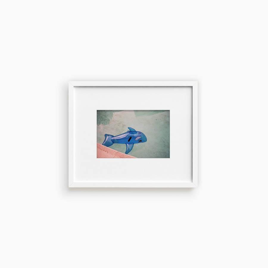 Whale in Pool, Photograph  by  Whale in Pool Tappan