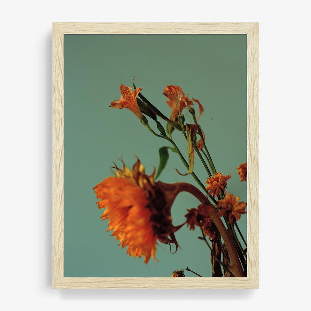 Photograph by Katie Burdon