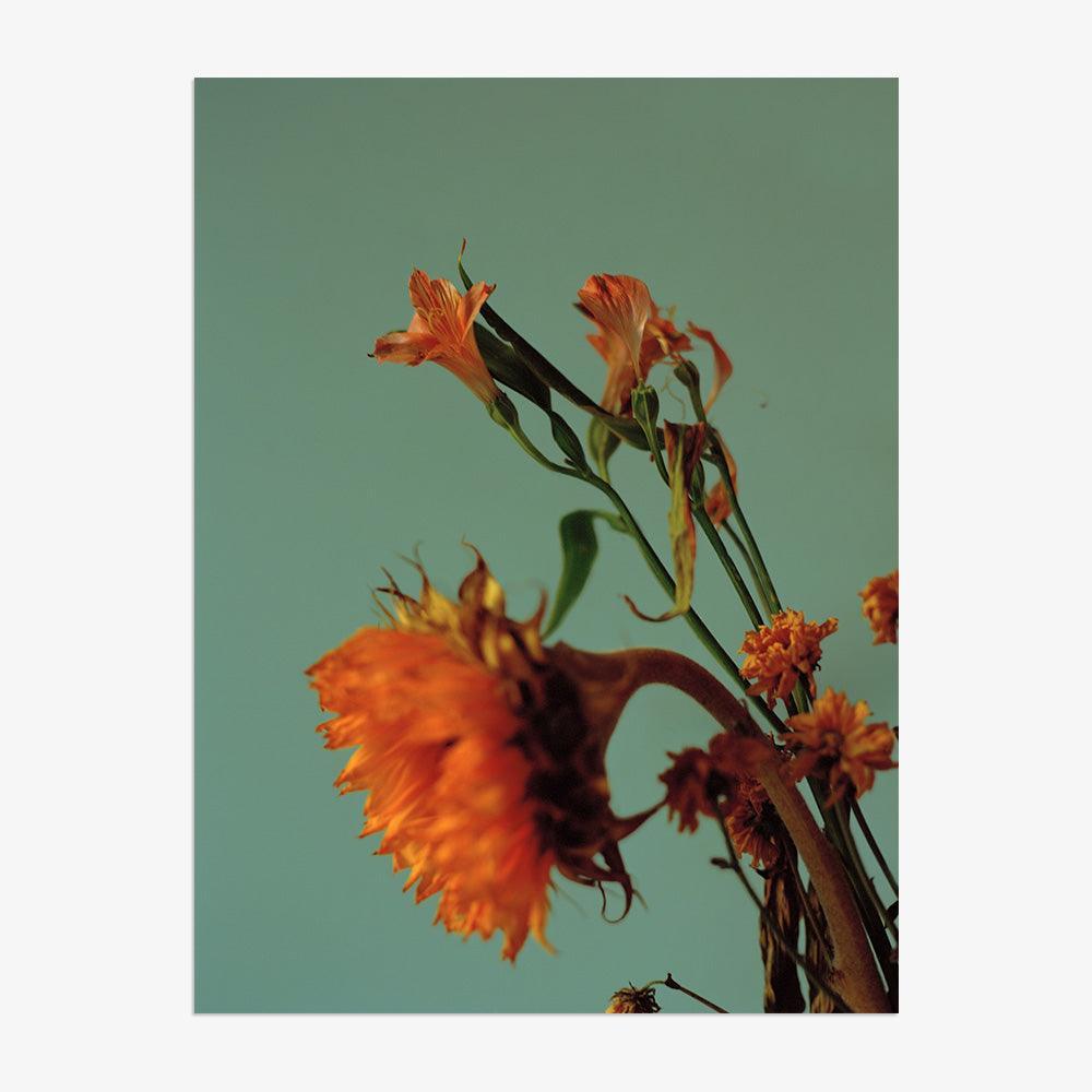 Photograph by Katie Burdon