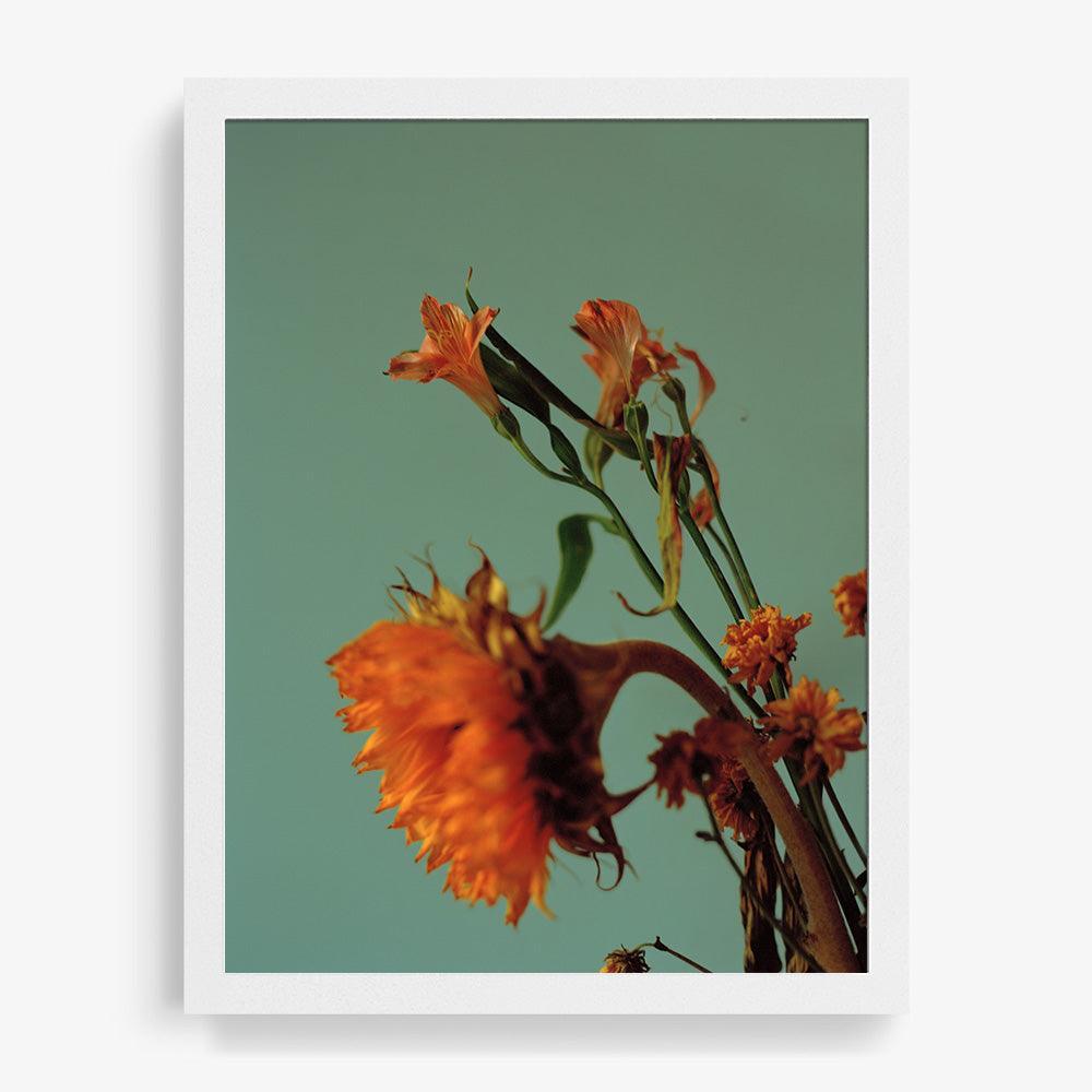 Photograph by Katie Burdon