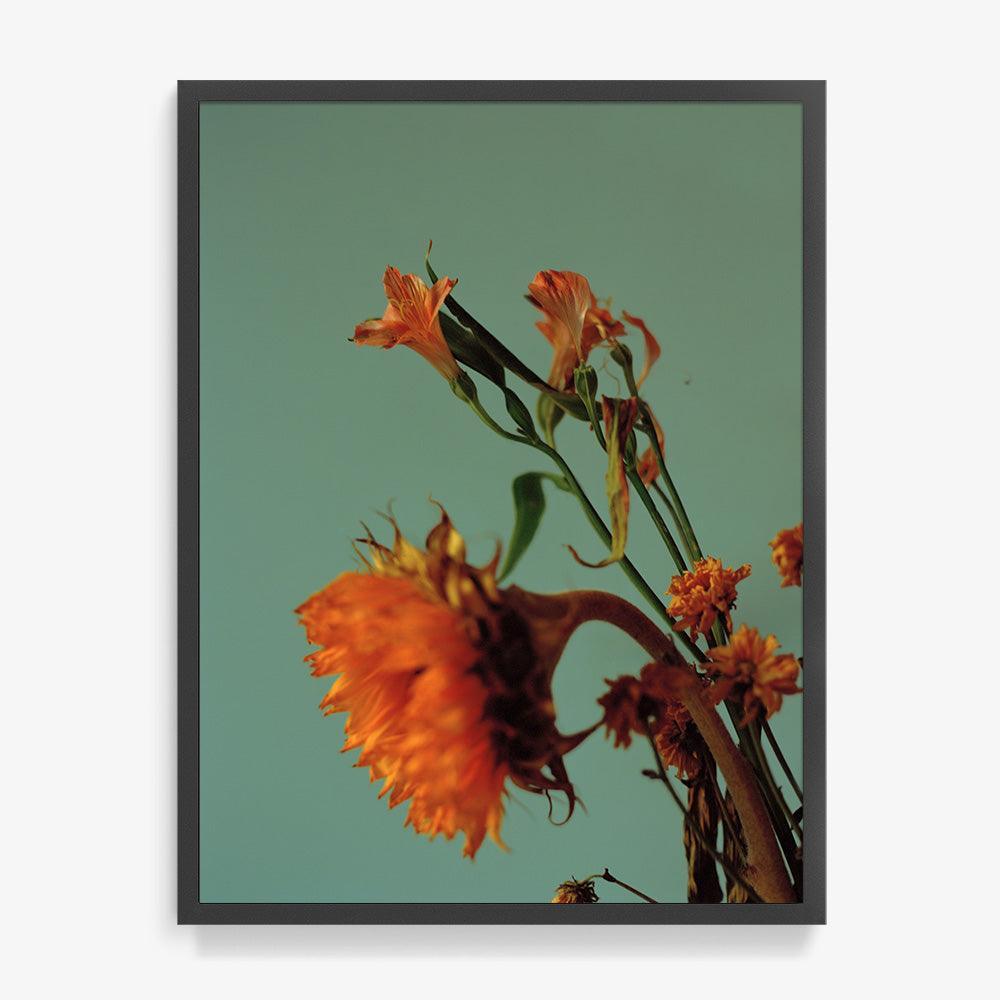 Photograph by Katie Burdon