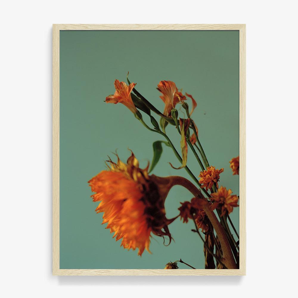 Photograph by Katie Burdon