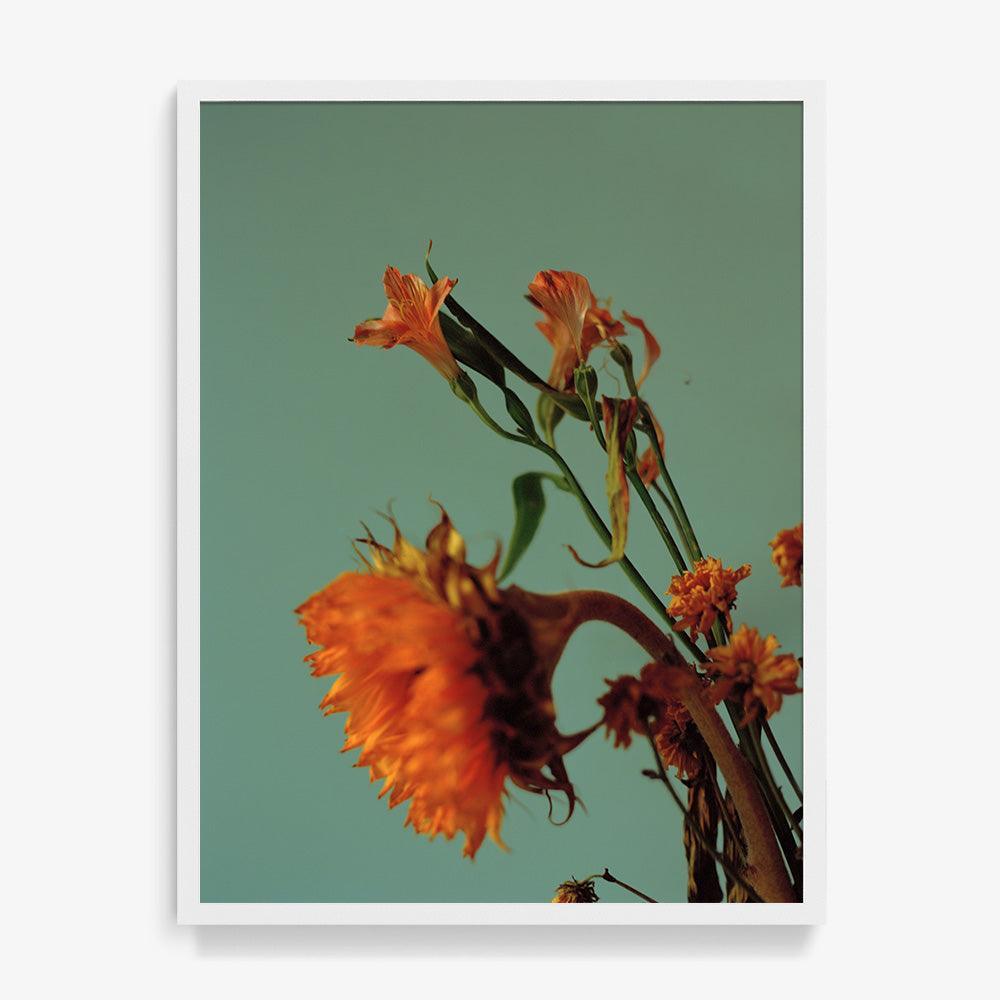 Photograph by Katie Burdon