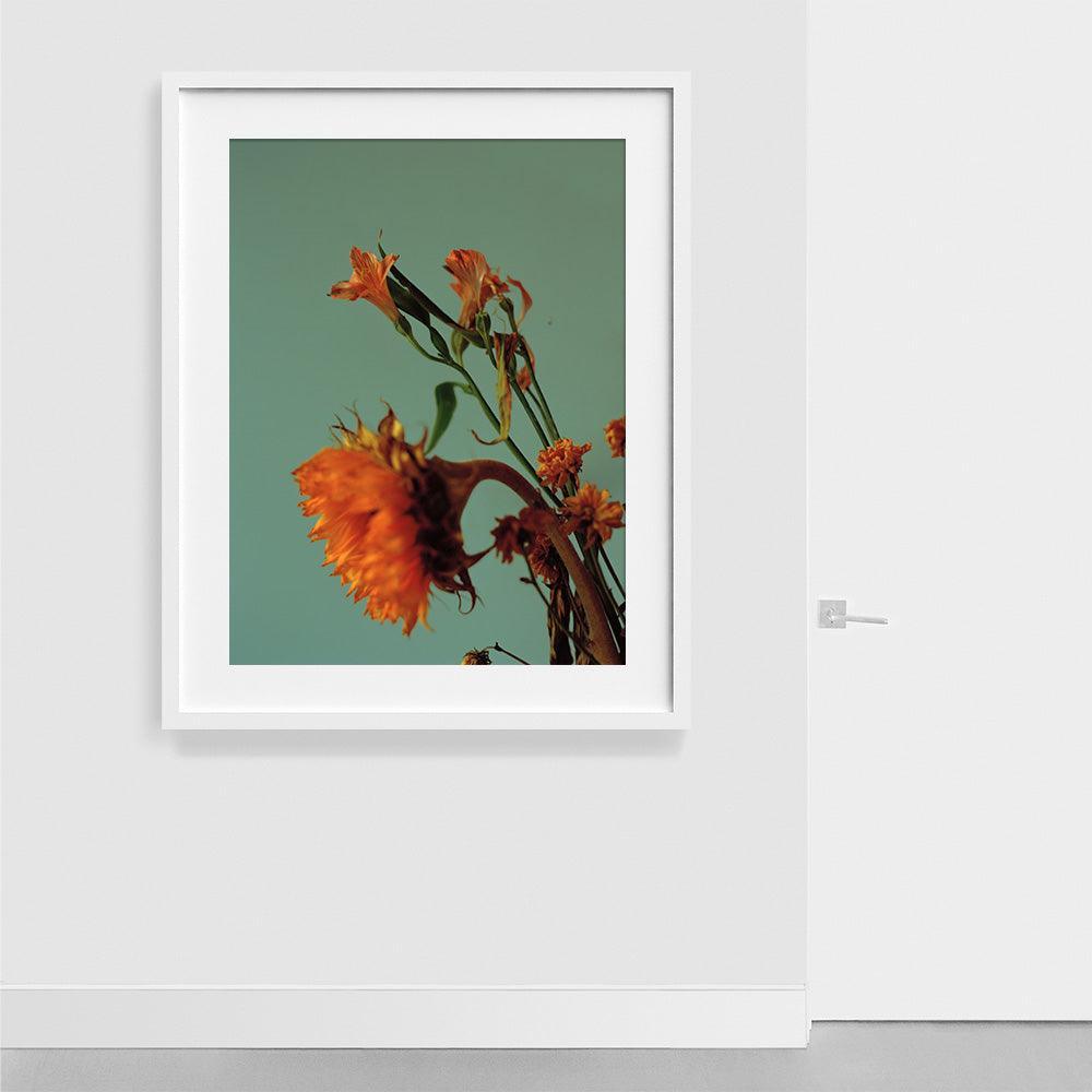 Photograph by Katie Burdon