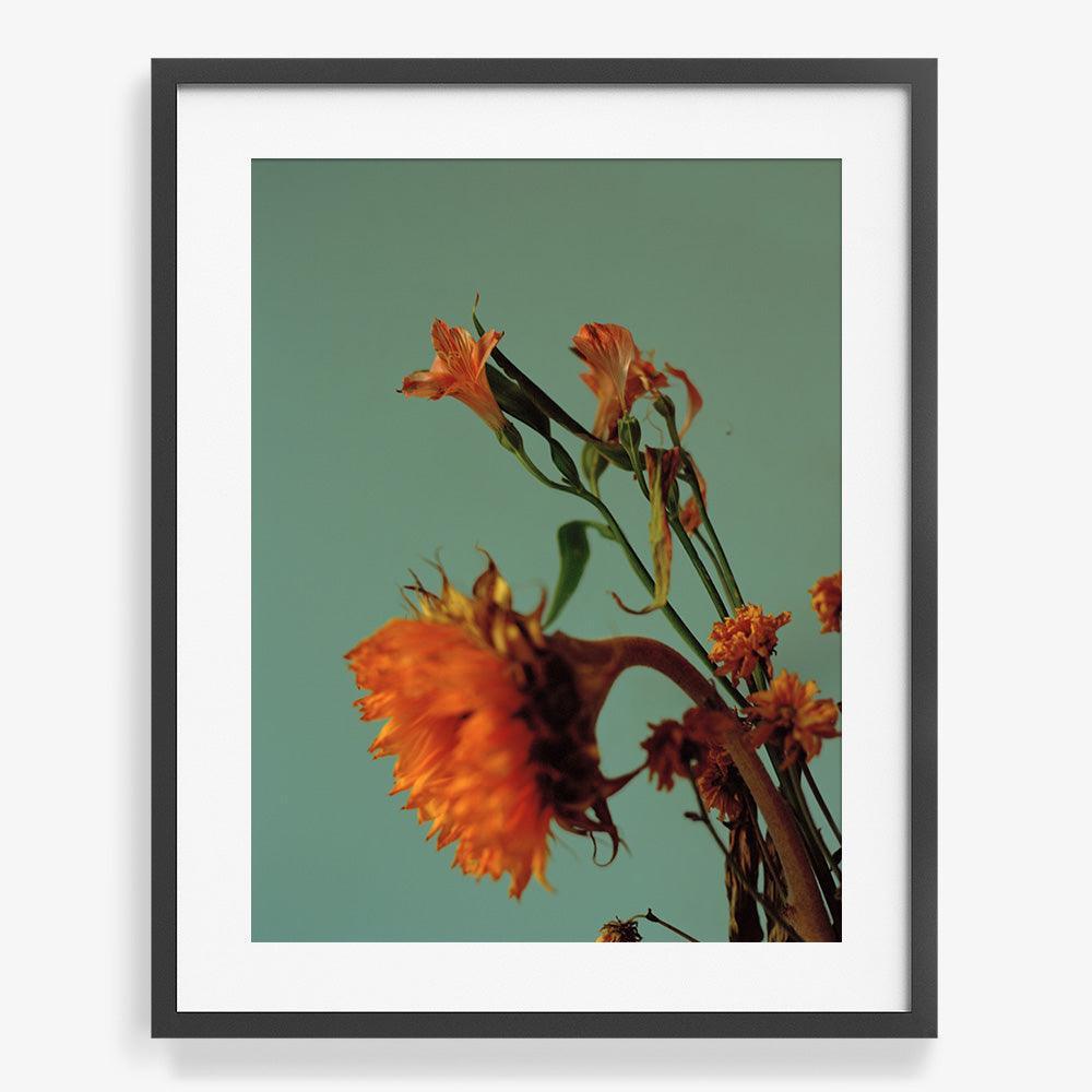 Photograph by Katie Burdon