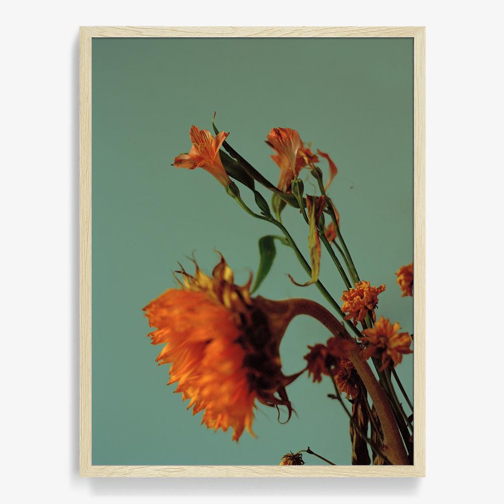 Photograph by Katie Burdon