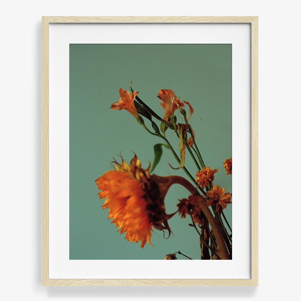 Photograph by Katie Burdon
