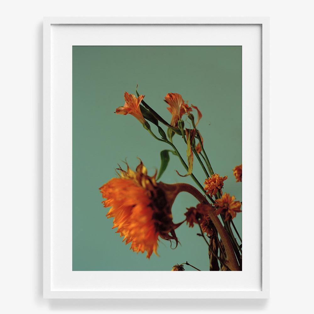 Photograph by Katie Burdon