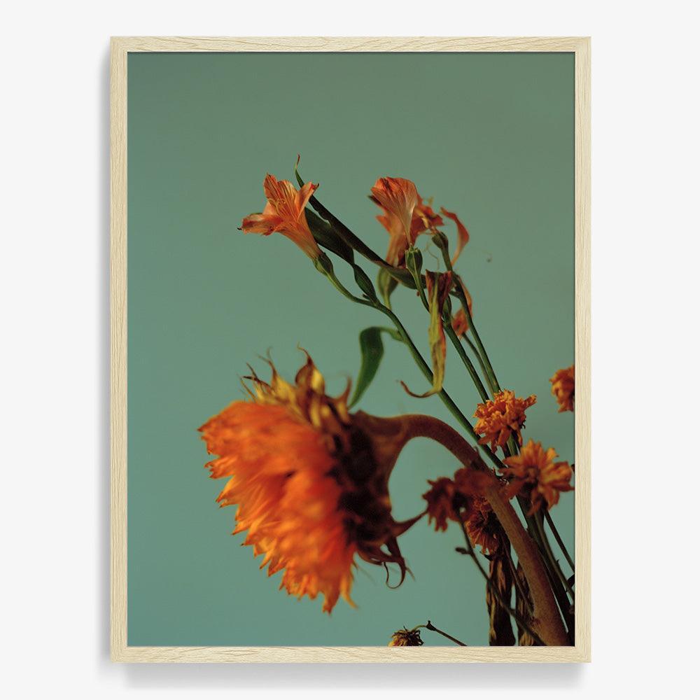 Photograph by Katie Burdon