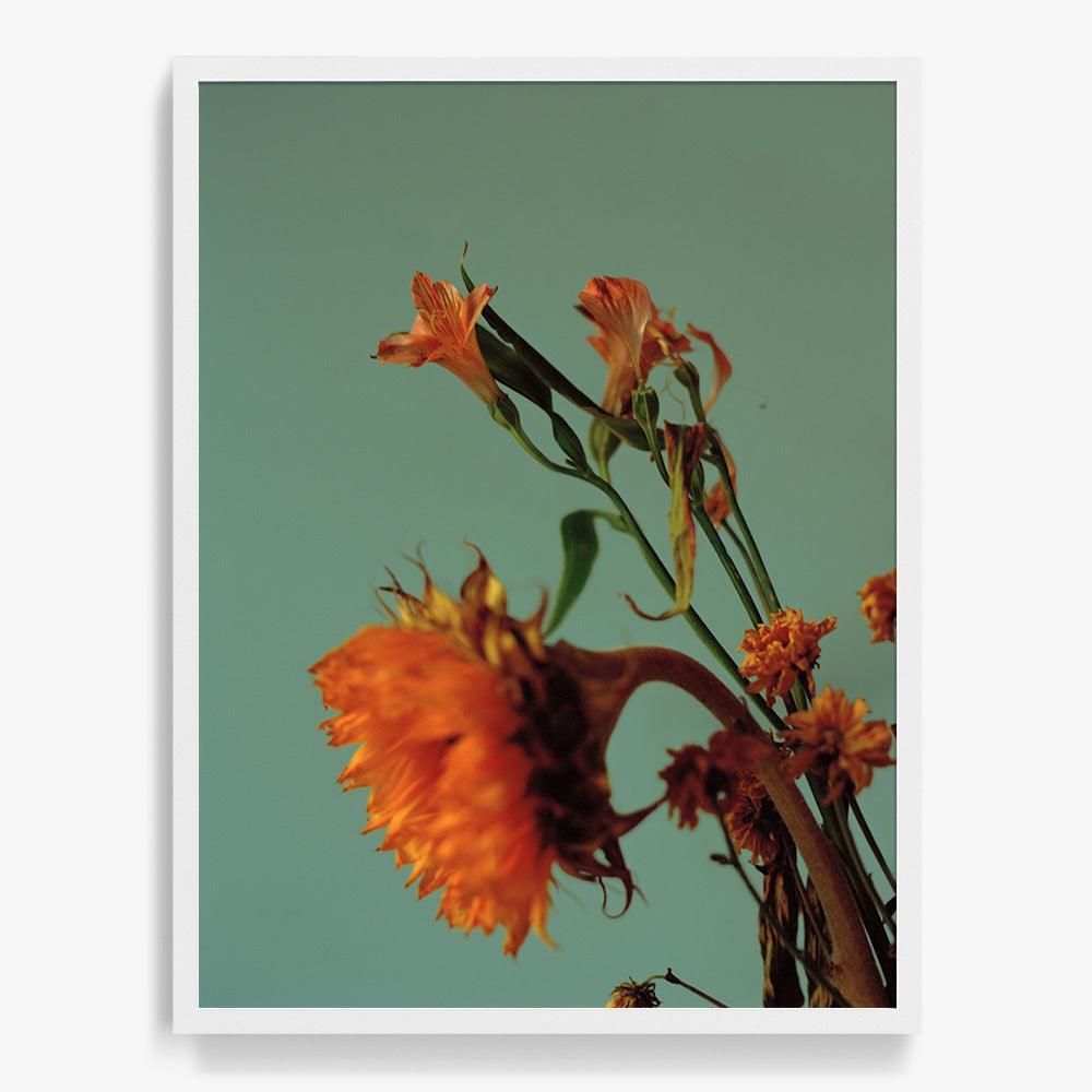 Photograph by Katie Burdon
