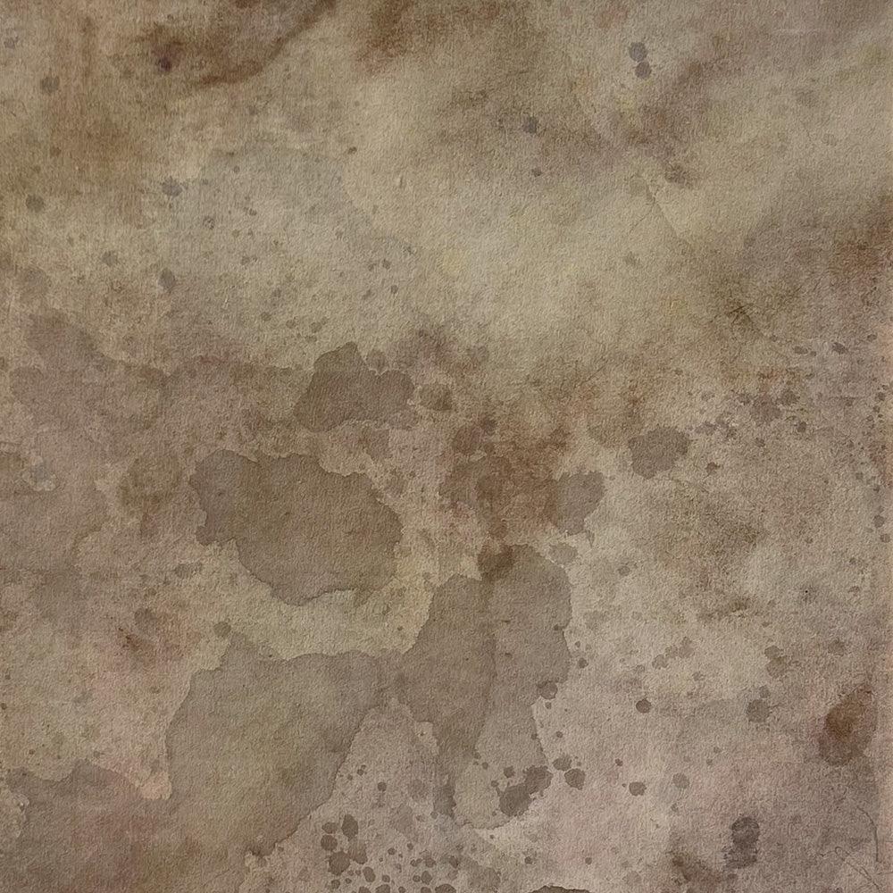 Painting by Sarah White