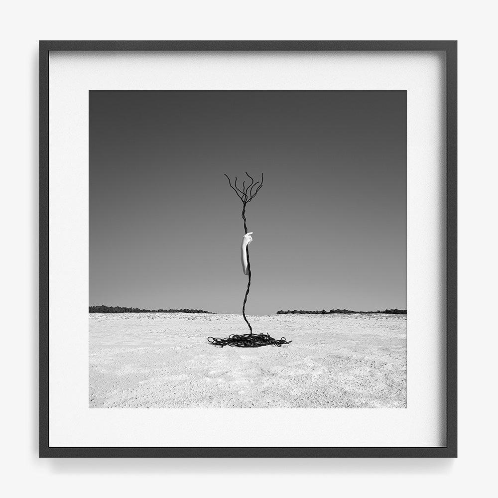 Photograph by Astrid Verhoef