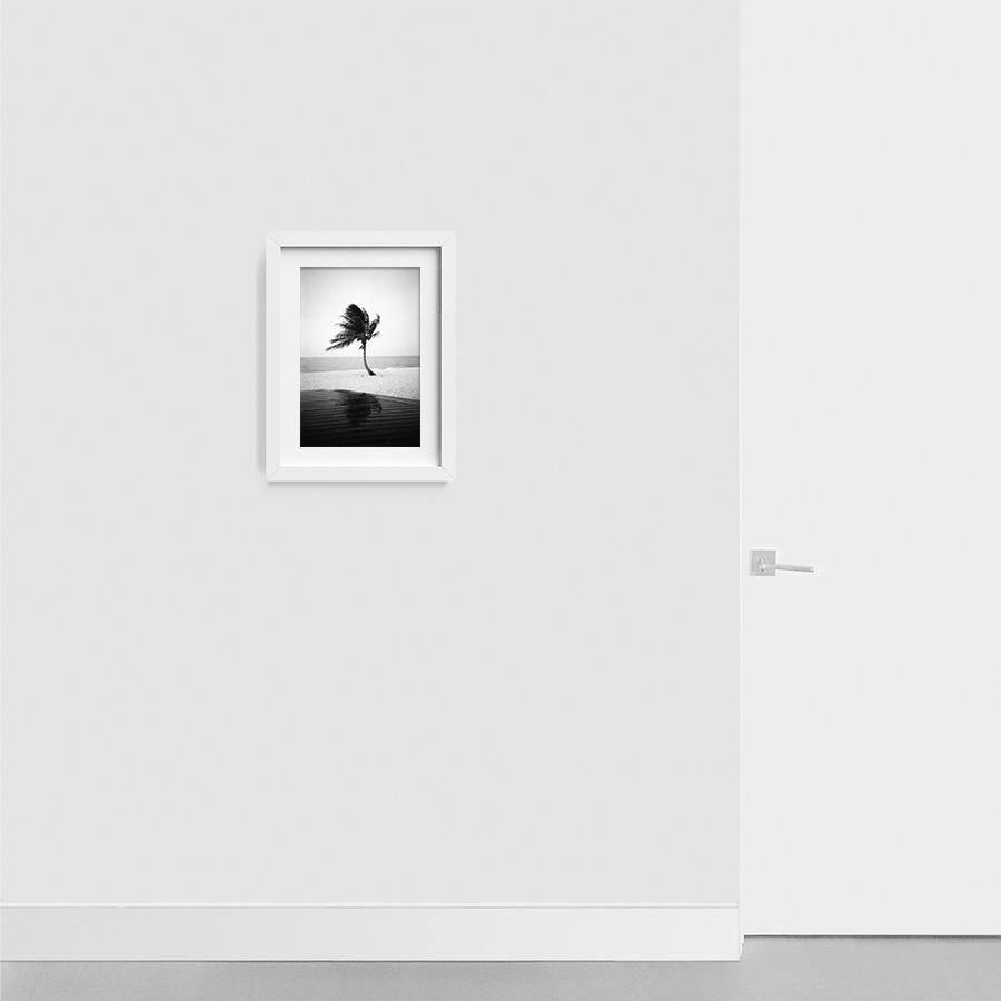 Photography by Isaac Zoller