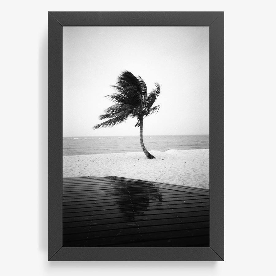 Photography by Isaac Zoller