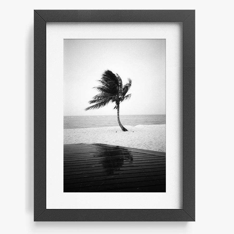 Photography by Isaac Zoller