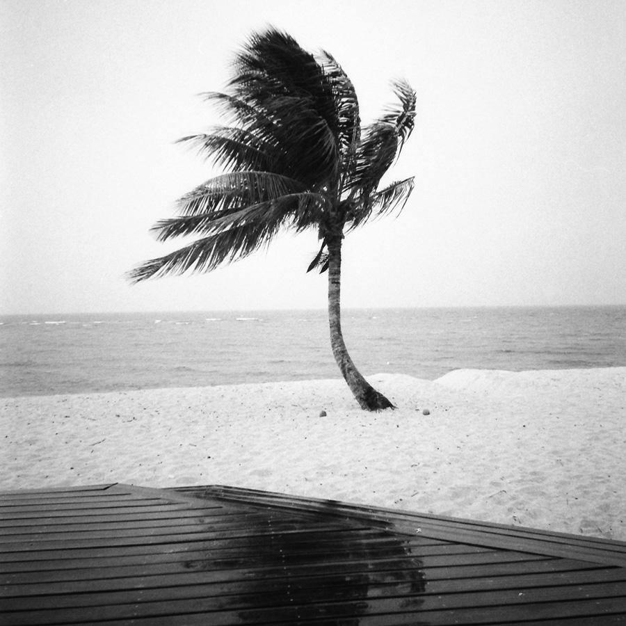 Photography by Isaac Zoller