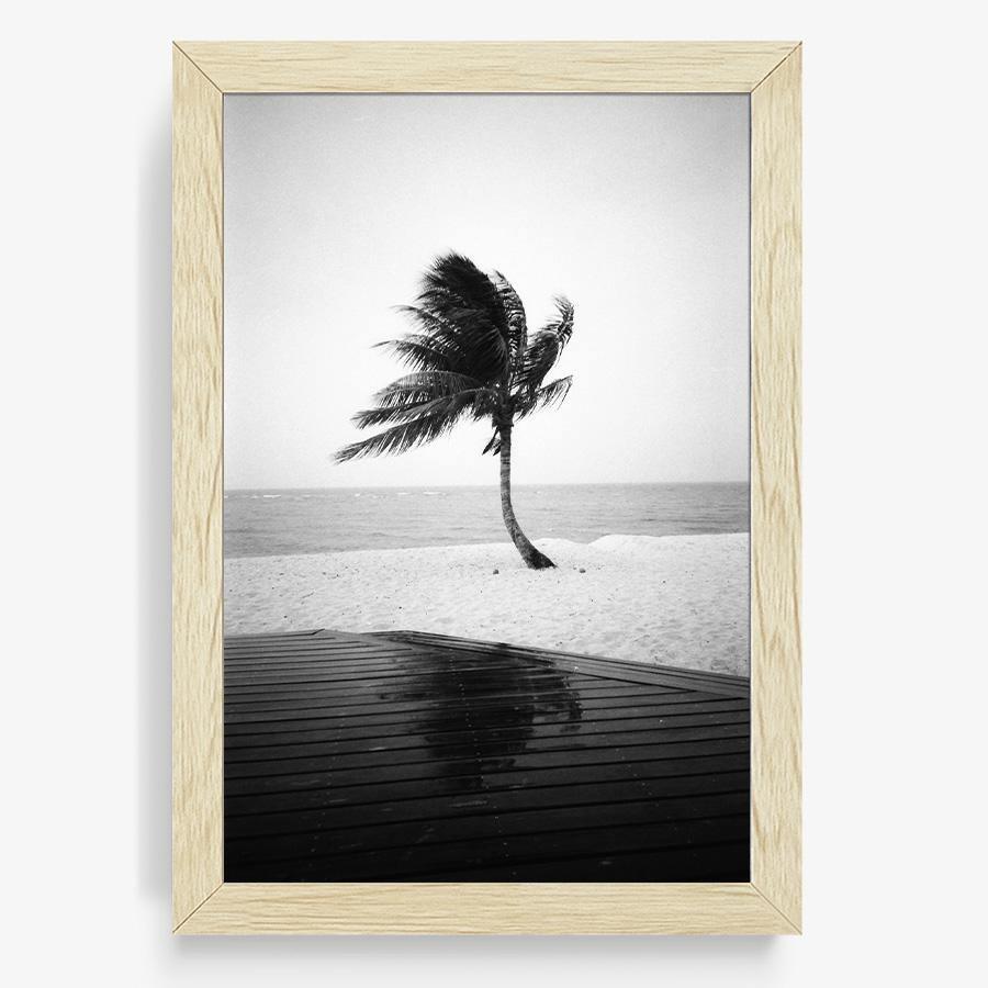 Photography by Isaac Zoller