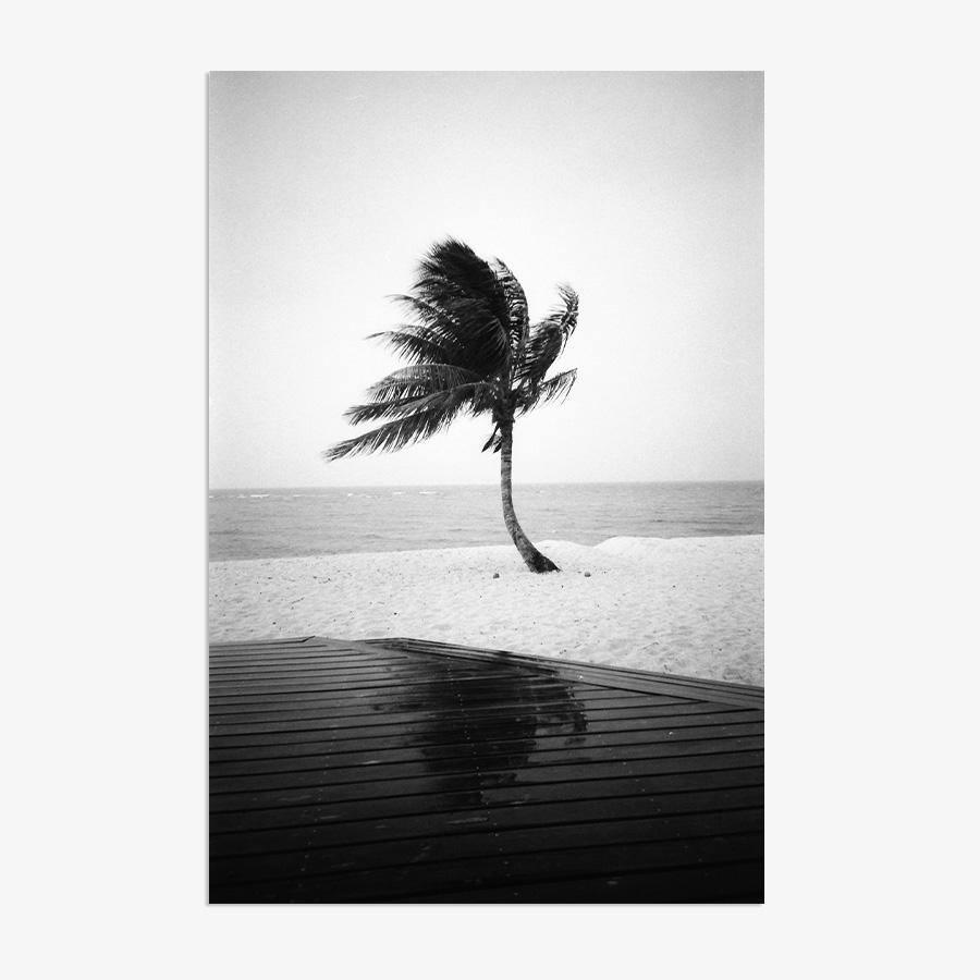 Photography by Isaac Zoller