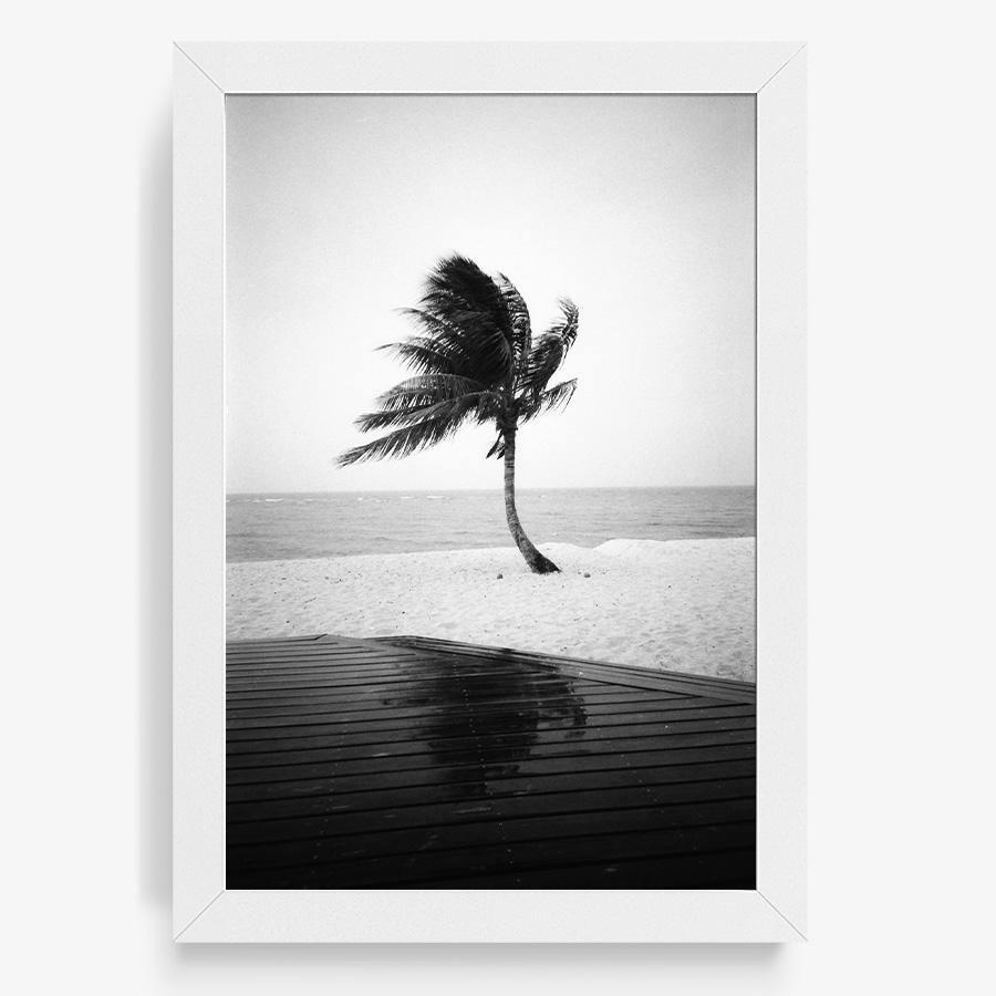 Photography by Isaac Zoller