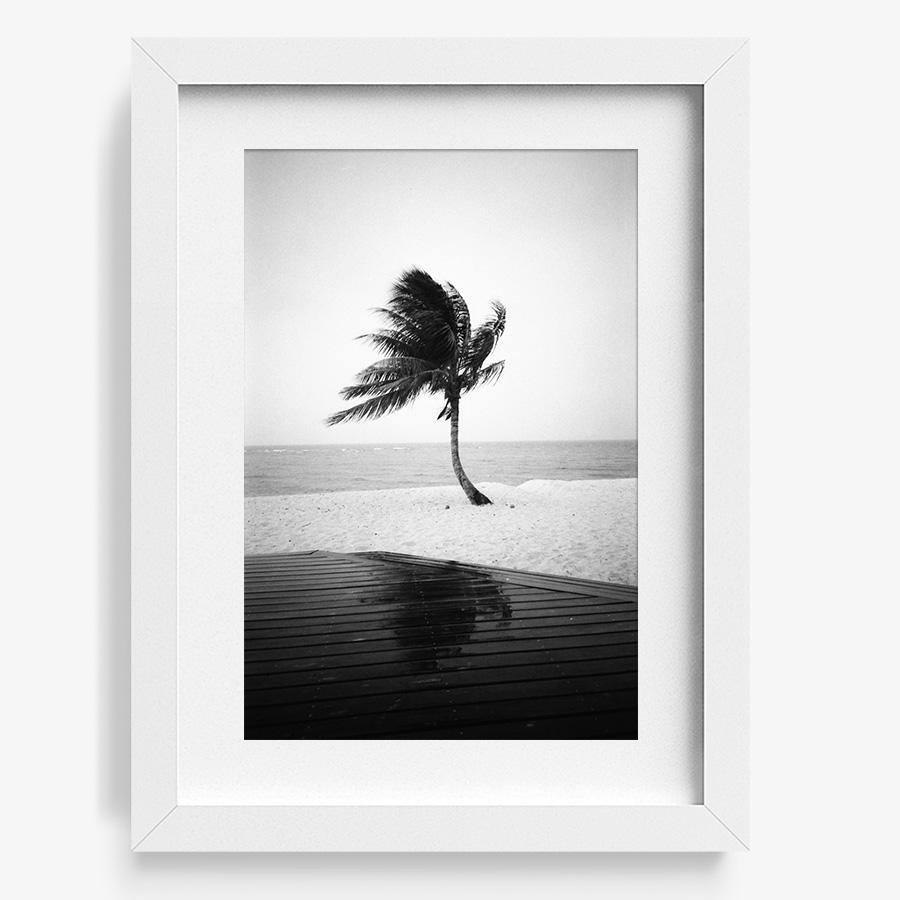 Photography by Isaac Zoller