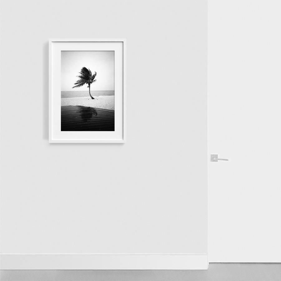 Photography by Isaac Zoller