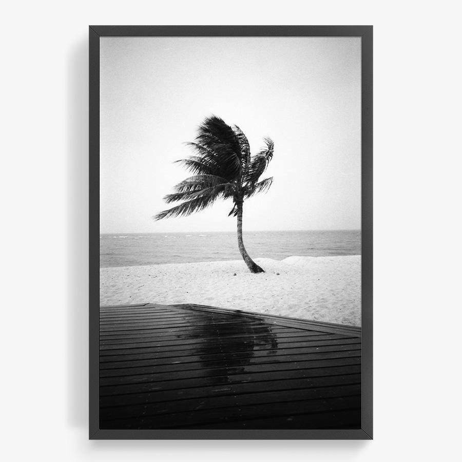 Photography by Isaac Zoller